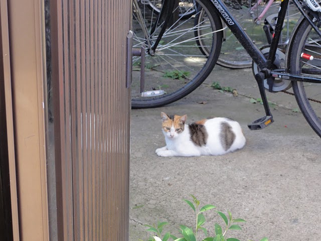 DSC03668.JPG
