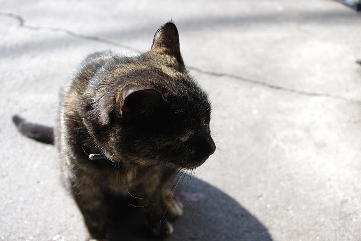 IMGP1294.JPG
